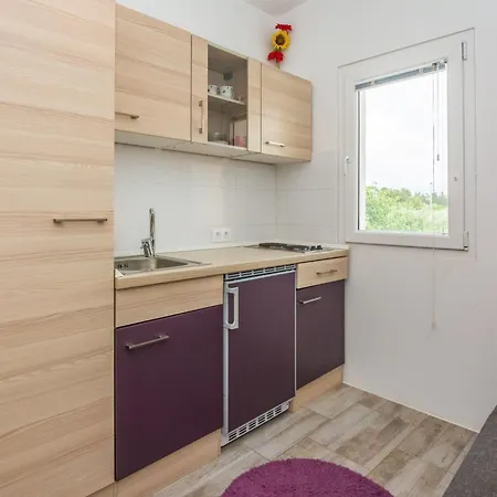 Ivanusevic 2 By Interhome Vir