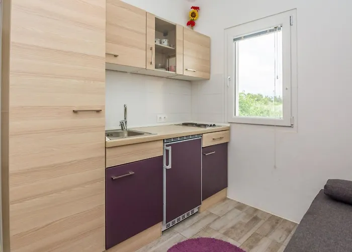 Ivanusevic 2 By Interhome Vir